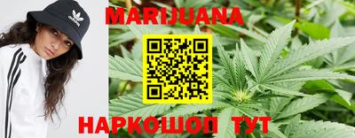 спиды Заводоуковск