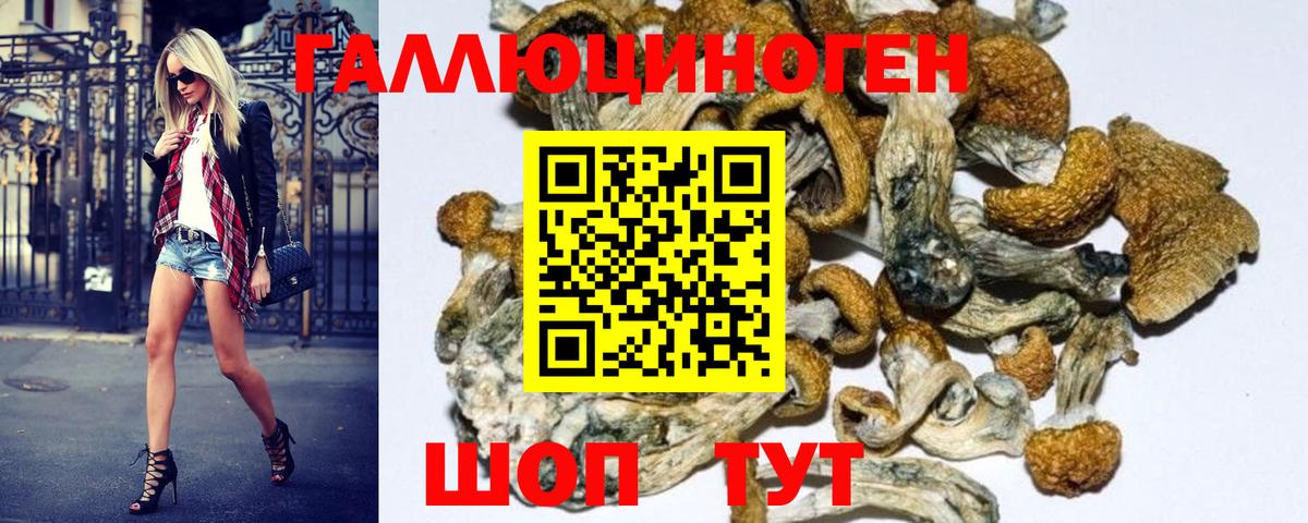 Галлюциногенные грибы MAGIC MUSHROOMS  Галлюциногенные грибы MAGIC MUSHROOMS  Вход с VPN  Магнитогорск 
