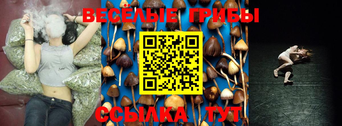 Галлюциногенные грибы GOLDEN TEACHER Магнитогорск